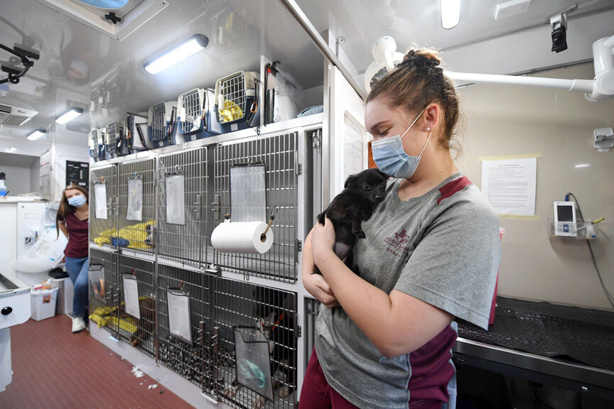 Aggieland Humane Society